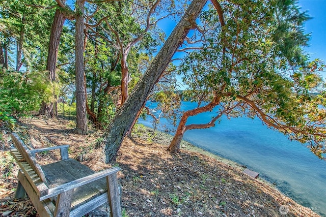 6998 Deer Harbor Rd, Orcas Island, WA 98245 - photo 27
