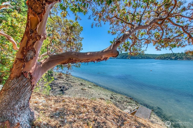 6998 Deer Harbor Rd, Orcas Island, WA 98245 - photo 2