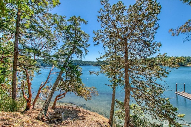 6998 Deer Harbor Rd, Orcas Island, WA 98245 - photo 29