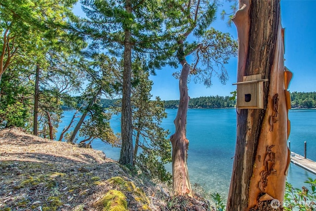 6998 Deer Harbor Rd, Orcas Island, WA 98245 - photo 31