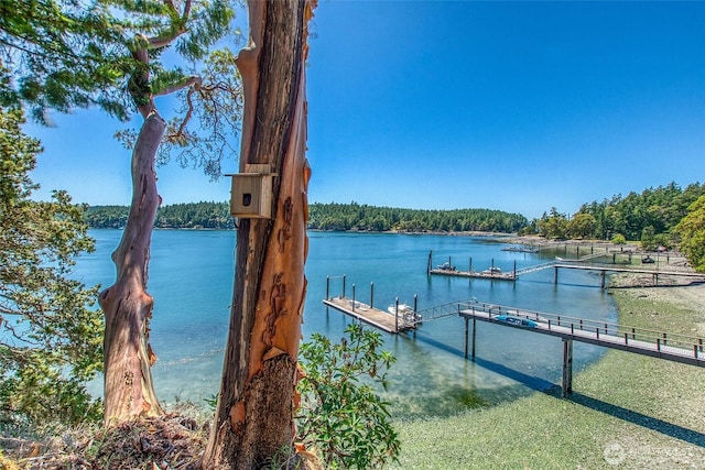 6998 Deer Harbor Rd, Orcas Island, WA 98245 - photo 5