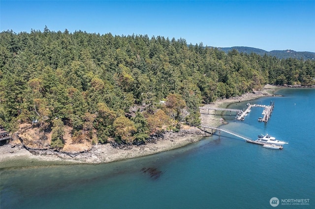 6998 Deer Harbor Rd, Orcas Island, WA 98245 - photo 32