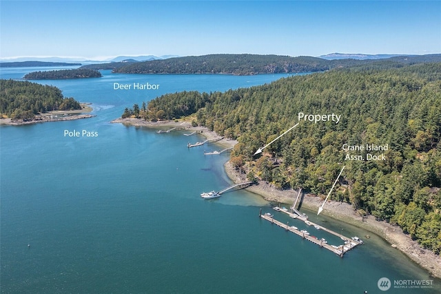 6998 Deer Harbor Rd, Orcas Island, WA 98245 - photo 3