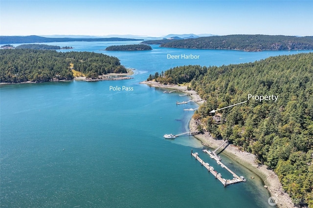 6998 Deer Harbor Rd, Orcas Island, WA 98245 - photo 33