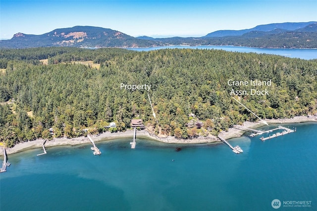 6998 Deer Harbor Rd, Orcas Island, WA 98245 - photo 39
