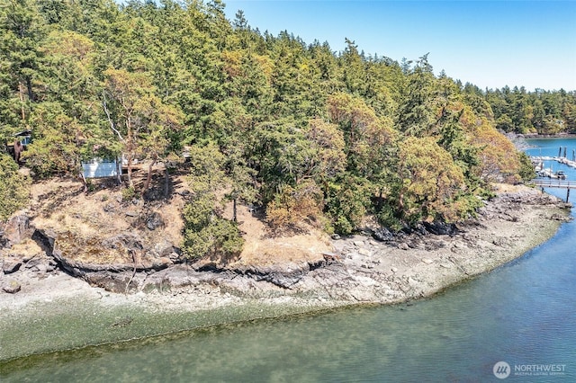 6998 Deer Harbor Rd, Orcas Island, WA 98245 - photo 35
