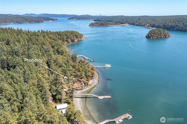 6998 Deer Harbor Rd, Orcas Island, WA 98245 - photo 6