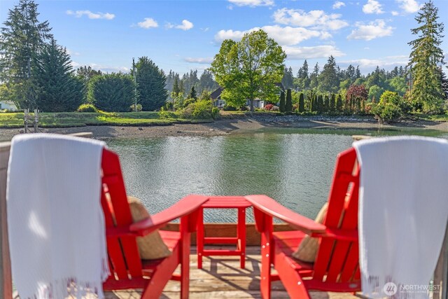 7318 Ray Nash Dr NW, Gig Harbor, WA 98335 - photo 19