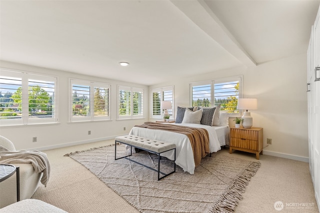 7318 Ray Nash Dr NW, Gig Harbor, WA 98335 - photo 20