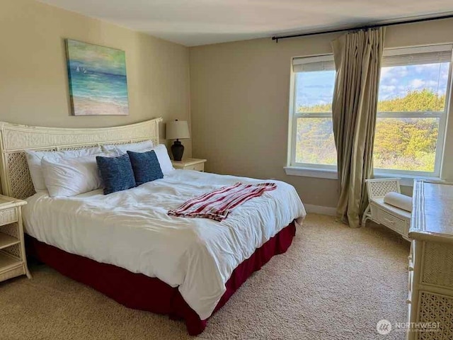 1600 W Ocean Ave Unit 1236, Westport, WA 98595 - bedroom featuring carpet floors and baseboards