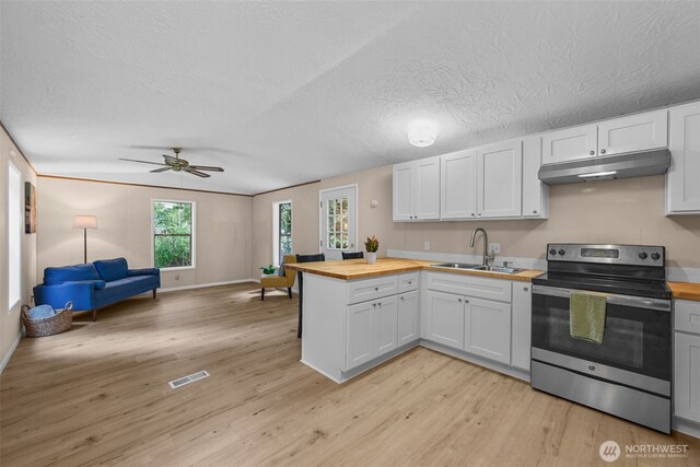 260 E Tahuya Dr, Shelton, WA 98584 - kitchen with electric range, butcher block counters, under cabinet range hood, a sink, and light wood-style flooring