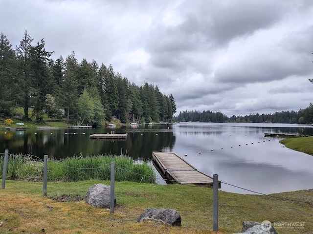 260 E Tahuya Dr, Shelton, WA 98584 - water view featuring a forest and a boat dock
