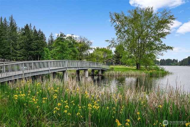 260 E Tahuya Dr, Shelton, WA 98584 - water view