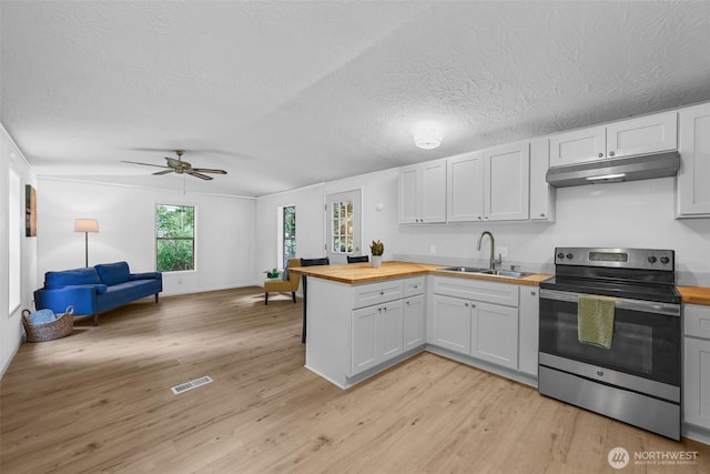 260 E Tahuya Dr, Shelton, WA 98584 - photo 5