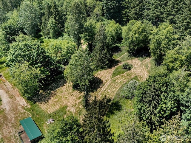 7315 294th St NE, Arlington, WA 98223 - bird's eye view