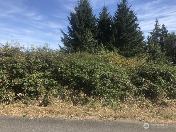 0 50th E, Camano Island WA, 98282 land for sale