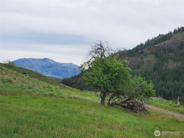 187 Twisp River Rd, Twisp, WA 98801