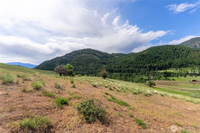 187 Twisp River Rd, Twisp, WA 98801