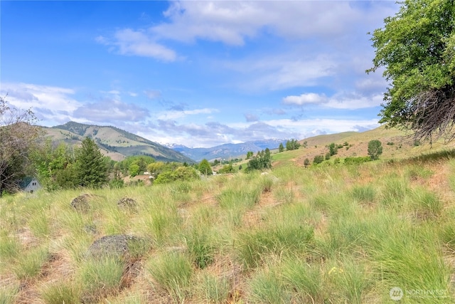 187 Twisp River Rd, Twisp, WA 98801