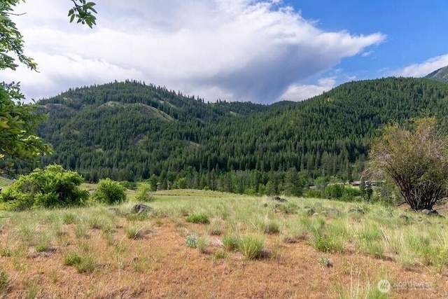 187 Twisp River Rd, Twisp, WA 98801