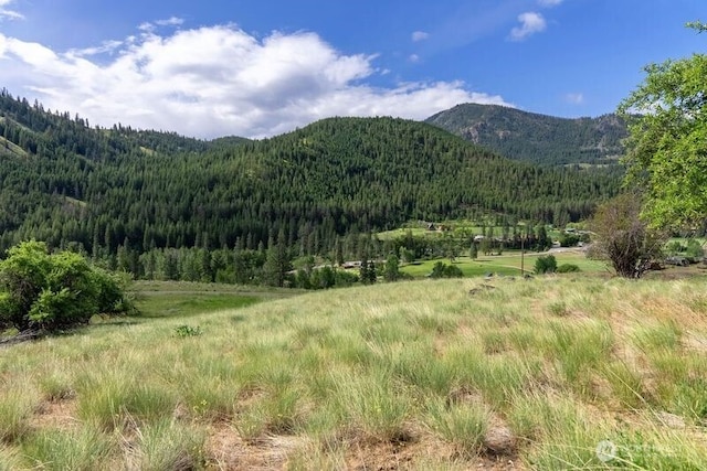 187 Twisp River Rd, Twisp, WA 98801