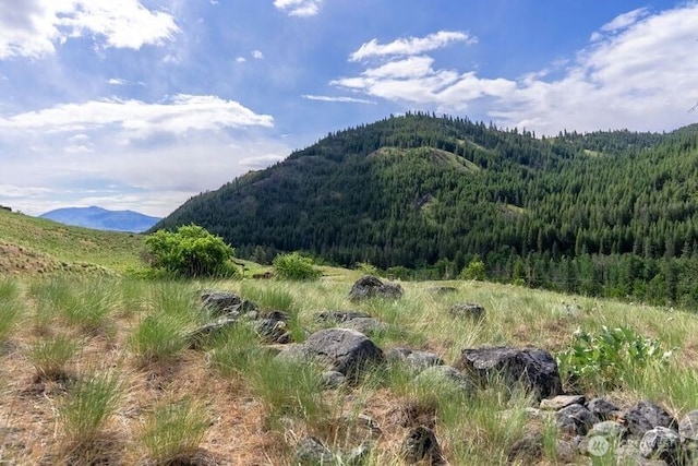 187 Twisp River Rd, Twisp, WA 98801