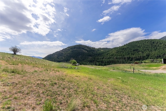 187 Twisp River Rd, Twisp, WA 98801
