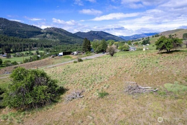 187 Twisp River Rd, Twisp, WA 98801