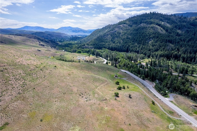 187 Twisp River Rd, Twisp, WA 98801