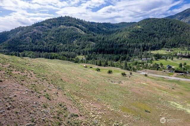 187 Twisp River Rd, Twisp, WA 98801