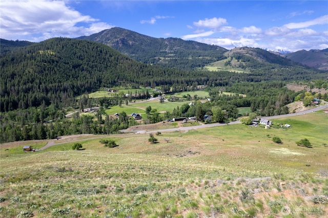 187 Twisp River Rd, Twisp, WA 98801