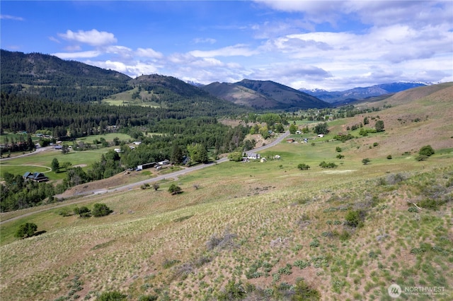 187 Twisp River Rd, Twisp, WA 98801
