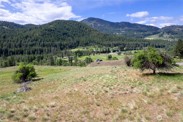 187 Twisp River Rd, Twisp, WA 98801