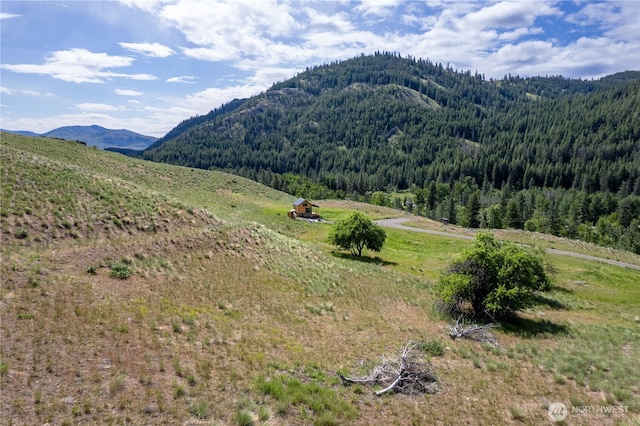 187 Twisp River Rd, Twisp, WA 98801