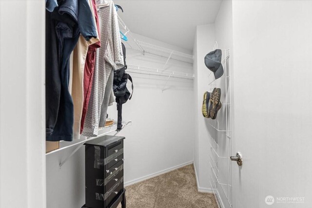 447 E Pointes Dr E, Shelton, WA 98584 - spacious closet with carpet