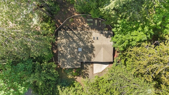 447 E Pointes Dr E, Shelton, WA 98584 - view from above of property with property boundaries highlighted