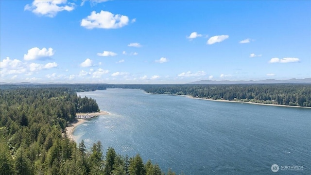 447 E Pointes Dr E, Shelton, WA 98584 - water view with a forest and mountains