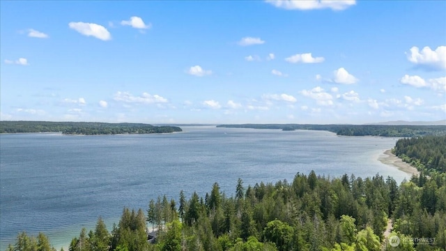 447 E Pointes Dr E, Shelton, WA 98584 - water view featuring a heavily wooded area