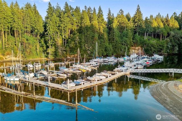 447 E Pointes Dr E, Shelton, WA 98584 - dock featuring view of marina and a water view
