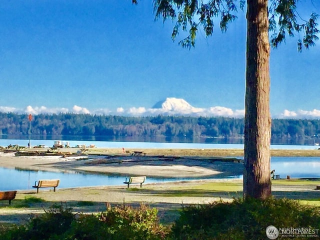 447 E Pointes Dr E, Shelton, WA 98584 - water view