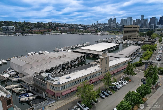 769 Hayes St Unit 504, Seattle, WA 98109 - aerial view of skyline, a nearby body of water, and numerous boat docks