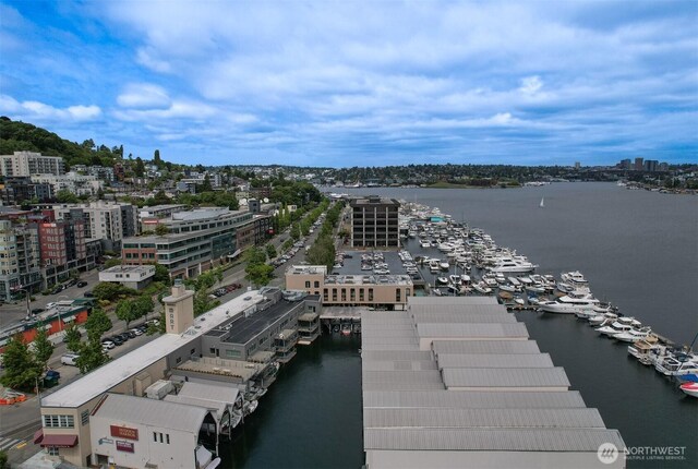 769 Hayes St Unit 504, Seattle, WA 98109 - view of urban area with a nearby body of water