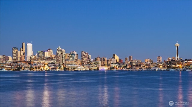 769 Hayes St Unit 504, Seattle, WA 98109 - water view with a view of city lights