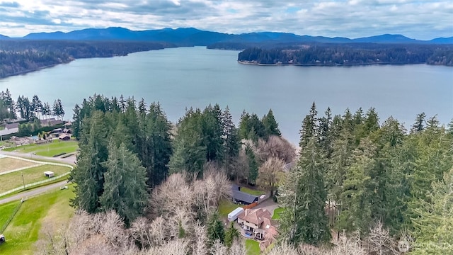 2634 59th Ave NW, Olympia, WA 98502 - aerial view of a water and mountain view