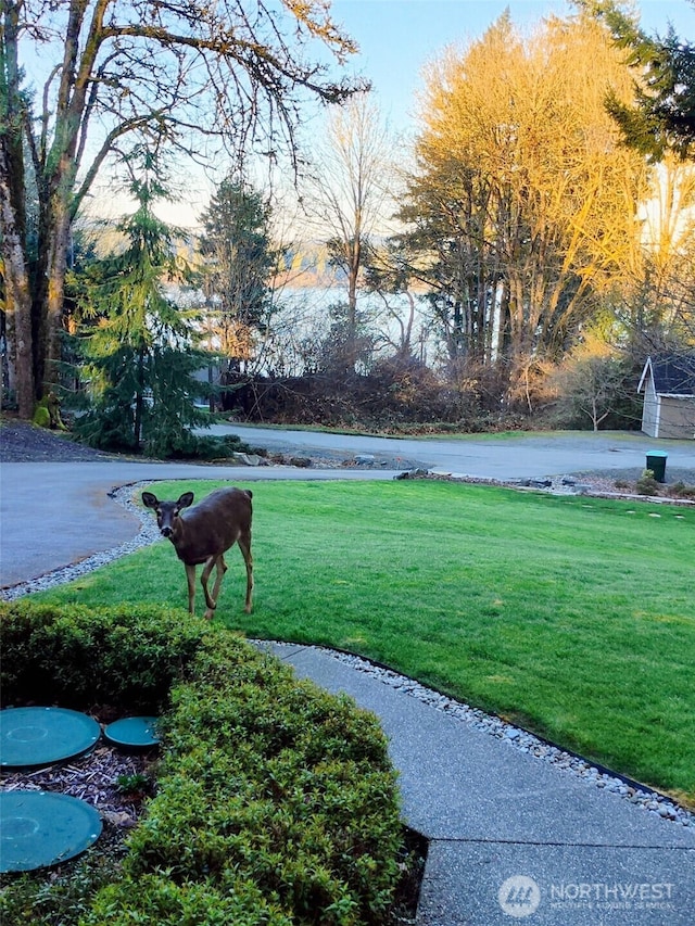 2634 59th Ave NW, Olympia, WA 98502 - view of grassy yard