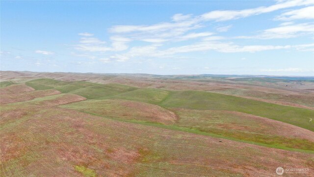 0 Wooden Rd, Prescott, WA 99438 - photo 7