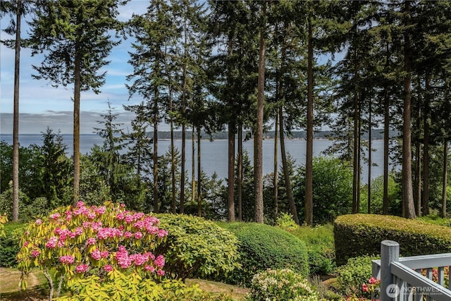 water view