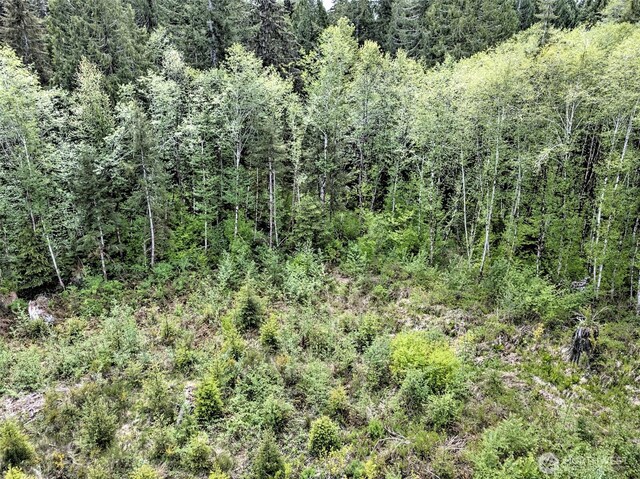 1121 W Highland Rd, Shelton, WA 98584 - photo 9