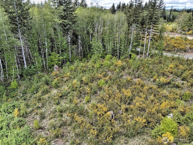 1121 W Highland Rd, Shelton, WA 98584 - photo 10