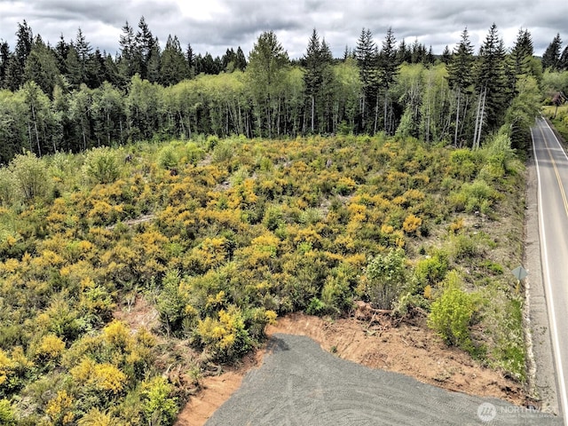1121 W Highland Rd, Shelton, WA 98584 - photo 13